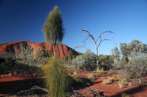 Aus Desert