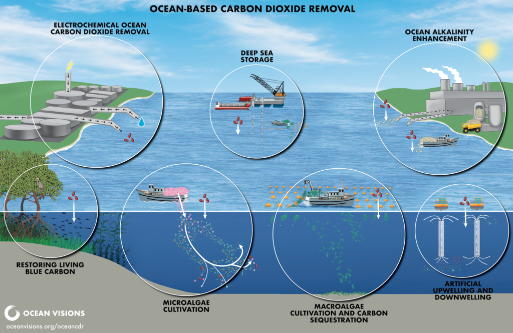 The Evolving Legal Landscape For Ocean-Based Carbon Dioxide Removal ...