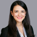 The Transmission, Distribution, and Interconnection Crises Blocking New York’s Climate Goals – Climate Law Blog