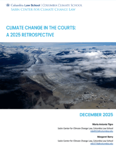 Image of the cover of "Climate Change in the Courts: A 2025 Retrospective"