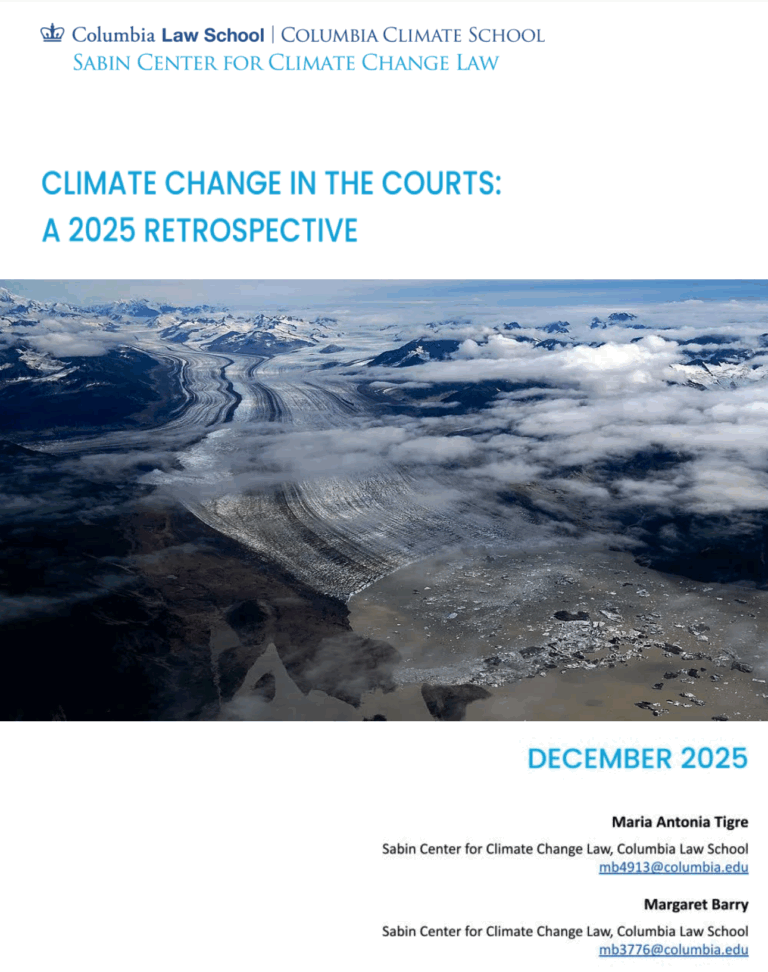 Sabin Center Report Surveys the Climate Litigation Landscape in 2025 ...